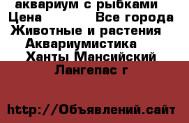 аквариум с рыбками › Цена ­ 1 000 - Все города Животные и растения » Аквариумистика   . Ханты-Мансийский,Лангепас г.